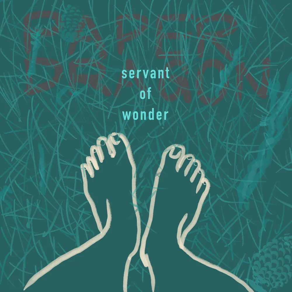 Servant of Wonder