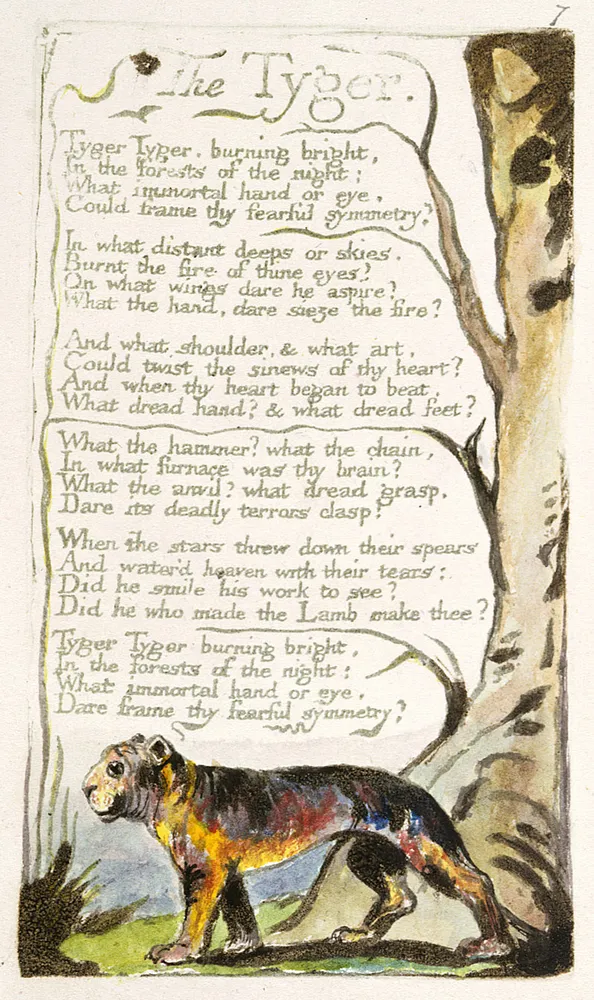 Copy A of Blake's original printing of The Tyger, 1794